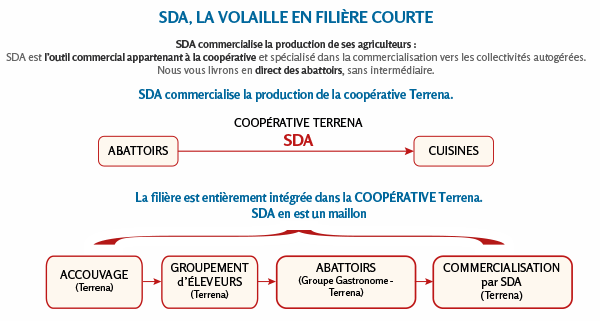 SDA Filiere courte